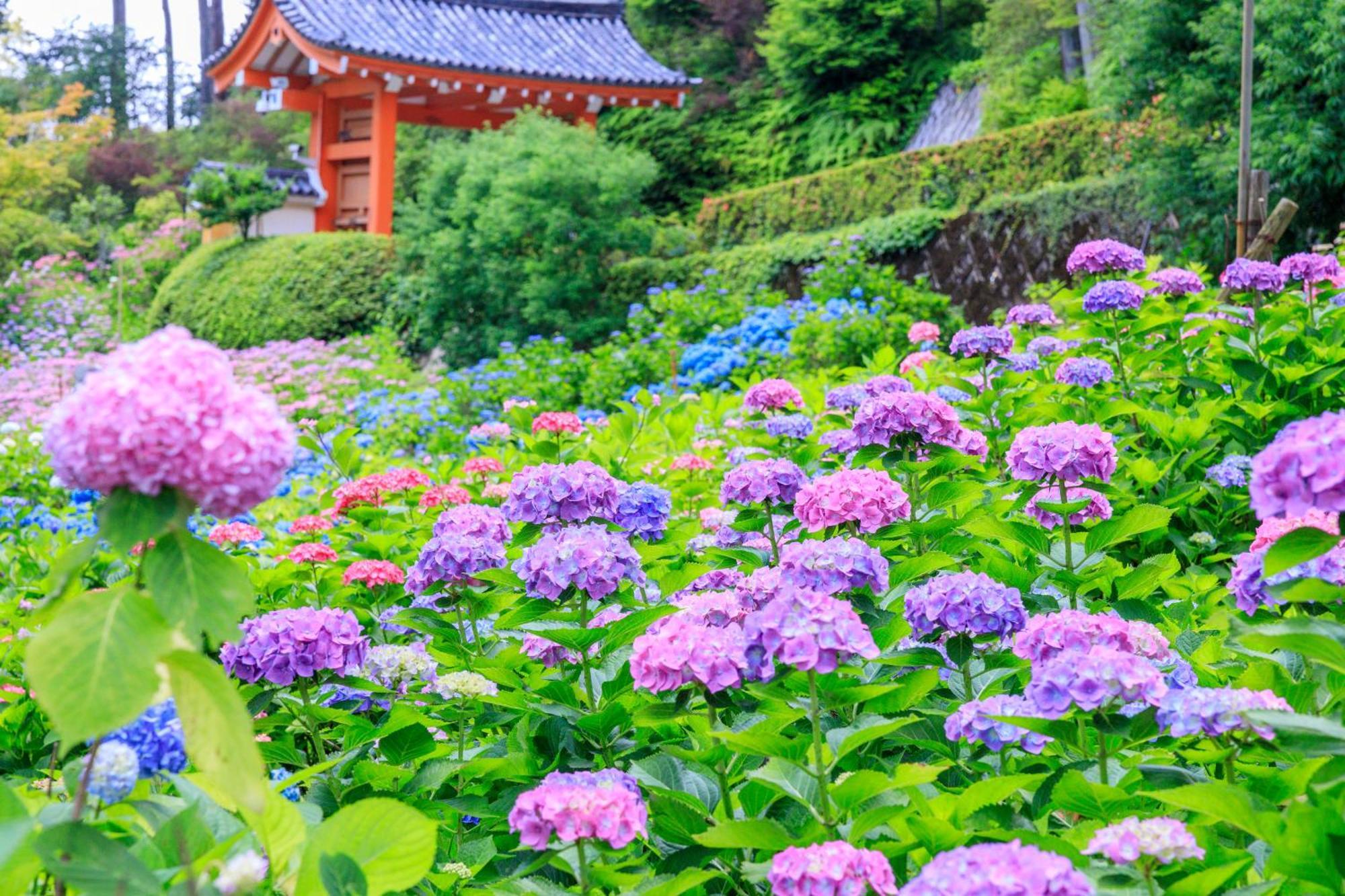 Mimaru Suites Kyoto Central Eksteriør billede